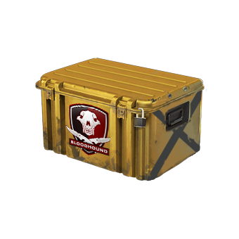 Falchion Case CS2 skin